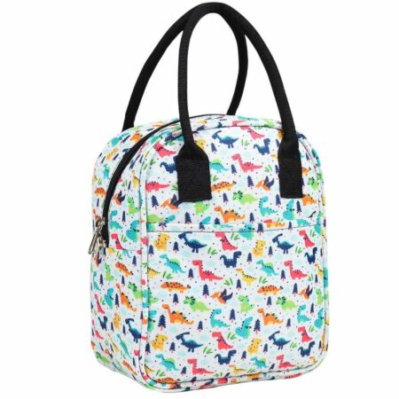 Lunch Buddy- Dinosaur Print